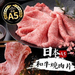 日本鹿兒島頂級A5和牛燒肉片 100g±10%
