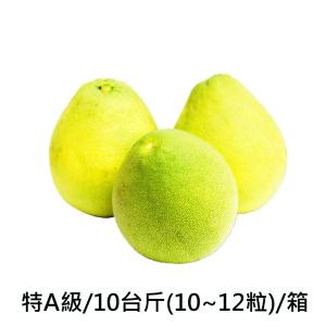 【葫蘆墩】50年老欉特A級柚子文旦禮盒