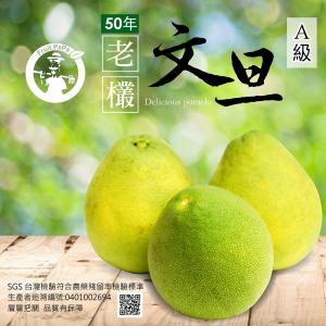 【水果爸爸】有機轉型期50年老欉A級柚子文旦禮盒