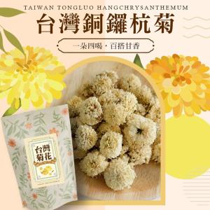 【cammie】台灣銅鑼杭菊