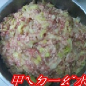 手工高麗菜豬肉水餃(大包裝60顆)