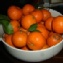 砂糖橘