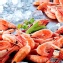 格陵蘭甜蝦