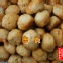 魯丸