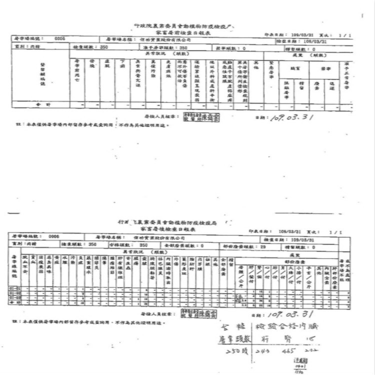 純手工燕皮鮮肉扁食