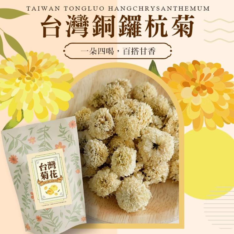 【cammie】台灣銅鑼杭菊