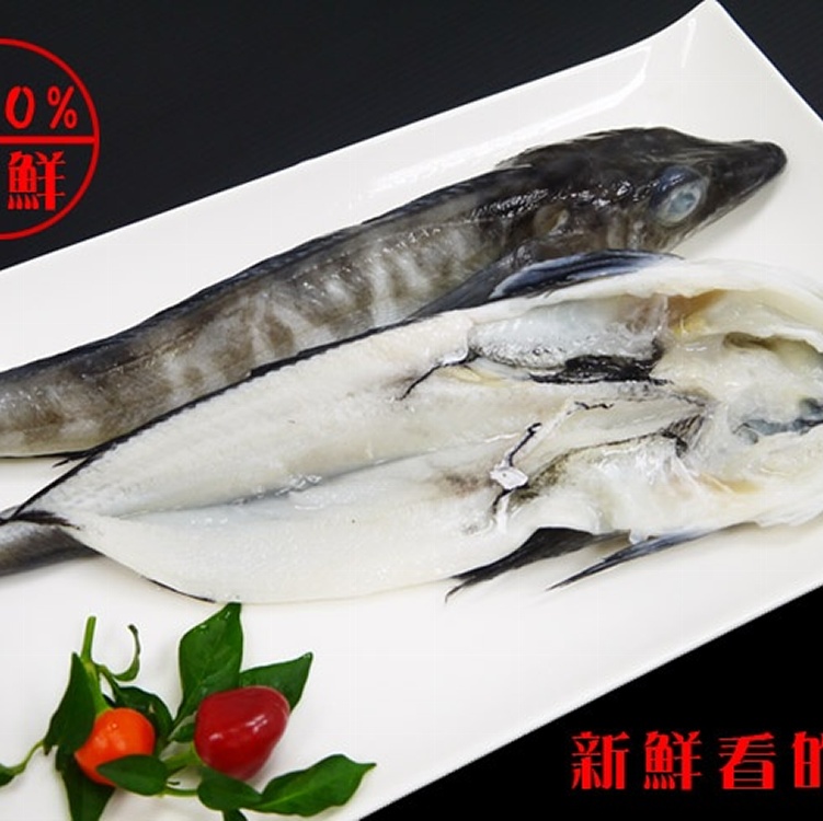 海之醇 ※ 南極冰魚 ※