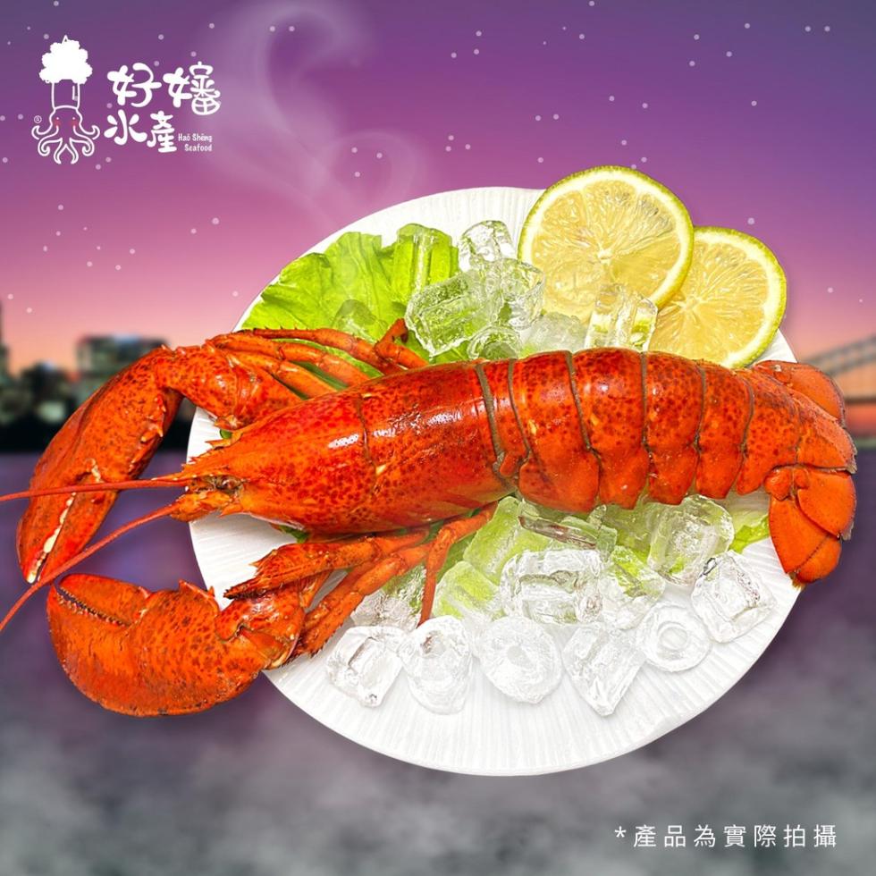  產品為實際拍攝。