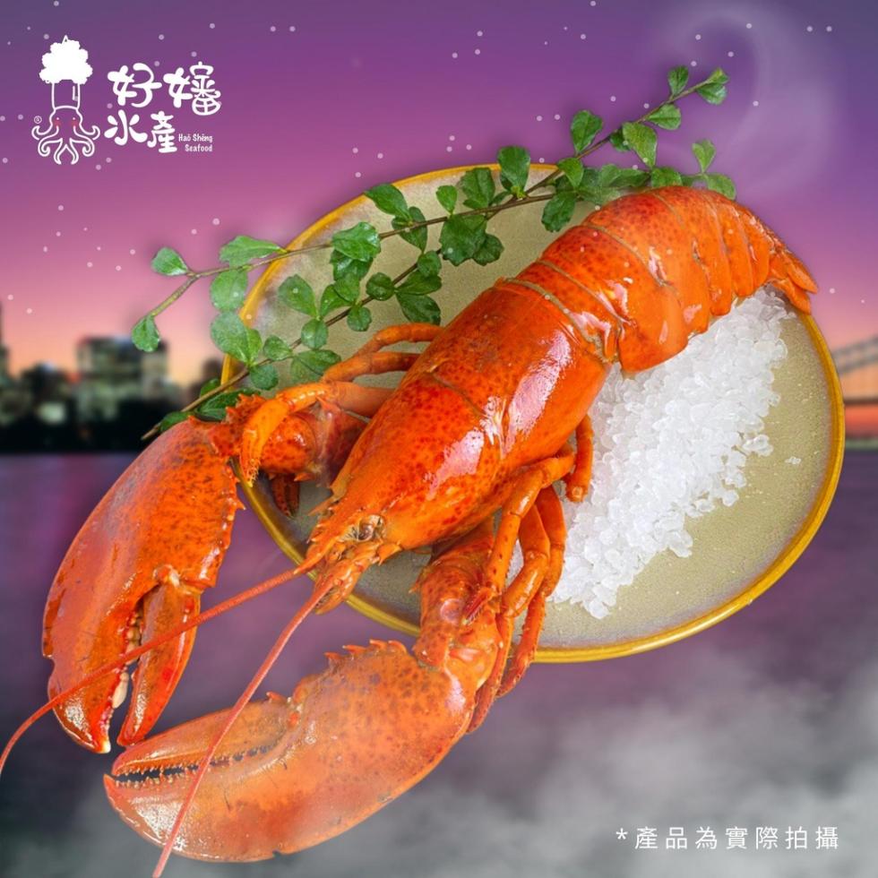 產品為實際拍攝。