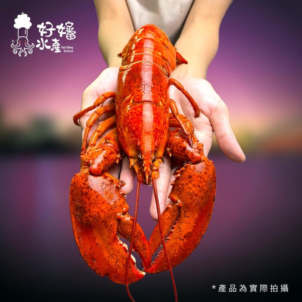 水產品，產品為實際拍攝。