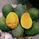 《端午節快樂》大社仁武特產水果☆黑香芒果(綠寶龍眼味)熱賣.產地現採☆限量新鮮配送☆ 芒果;試吃看看.~6月底才有貨-5斤裝