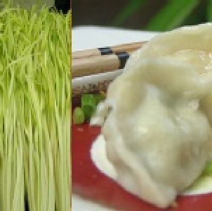 韭黃牛肉水餃(25粒)
