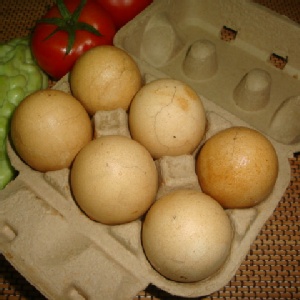 美鵝王 岩漿蛋
