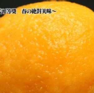 文化季頭等獎