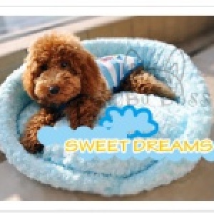 babu boss【綿柔雲朵寵物床】(L) 狗房子 寵物窩 寵物床 狗屋 狗窩 狗床 狗床墊 貓窩