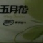五月花超吸水紙巾