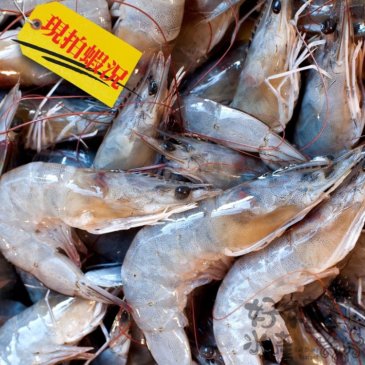 【好嬸水產】進口級白蝦Q傻白甜蝦/白蝦/規格60-70//大白蝦/蝦/蝦子/甜白蝦/海鮮/生鮮食品/