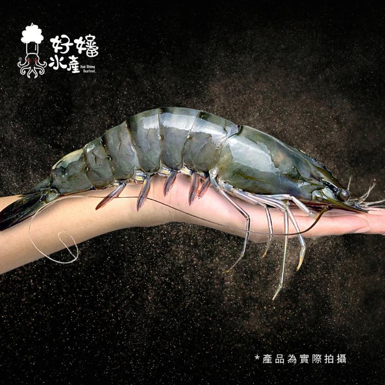 【好嬸水產】史前巨蝦再臨 -粗霸手臂蝦 巨人吃的蝦 震撼你的口感大蝦降臨 🦐(1.1KG)裝