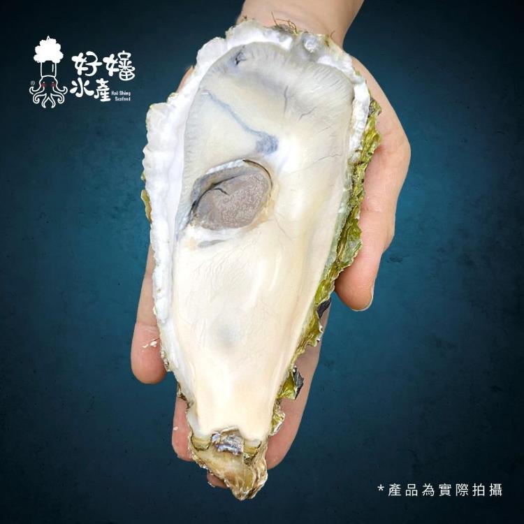 【好嬸水產】日本人妻爆推肥嫩全殼牡蠣｜五顆裝｜ 200克｜牡蠣｜膽固醇極限｜日本進口｜極致海鮮享受