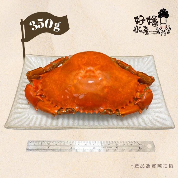 【好嬸水產】根島產巨型紅蟳 ｜抱蛋紅蟳｜350公克｜1498超商免運｜進口紅蟳｜飯店專供高級紅蟳