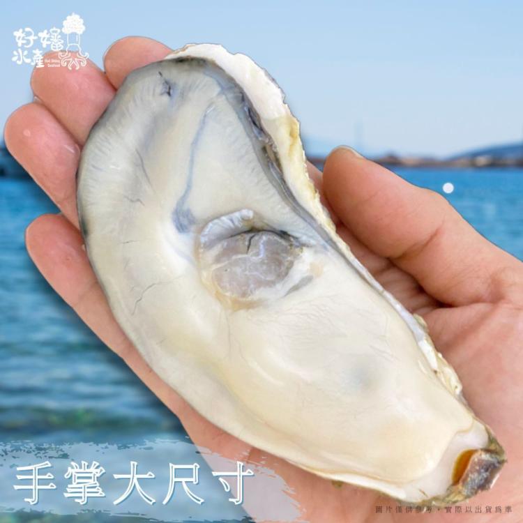 【好嬸水產】宮城縣產-料亭專用生食級生蠔2XL 150G -多件系列