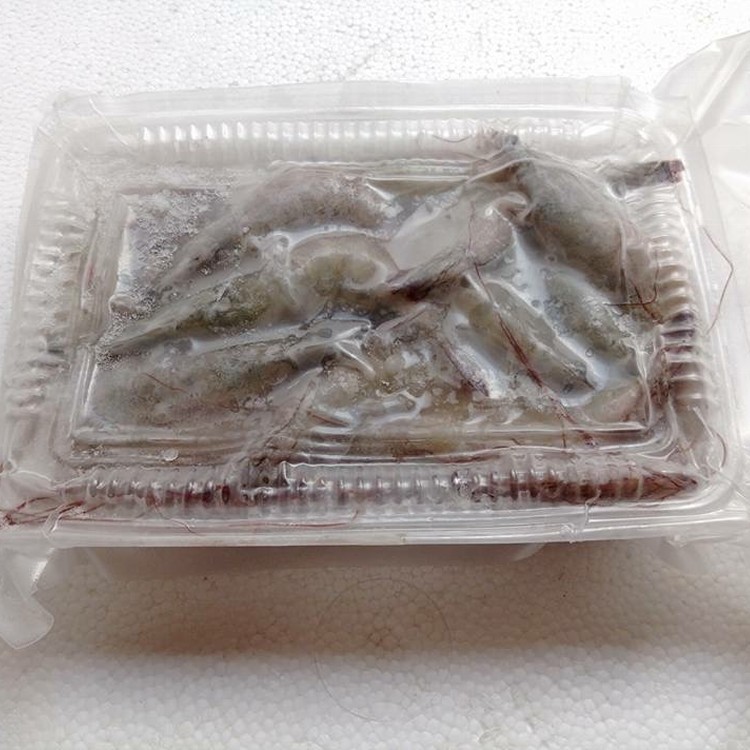 自然生態養殖－安心白蝦