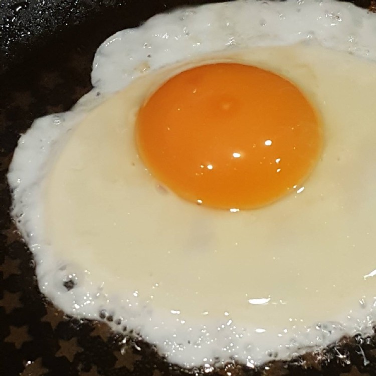 【江夏畜牧場】靈芝養生蛋（新鮮紅殼蛋）