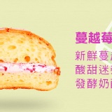 【菠蘿油公主】蔓越莓乳酪菠蘿