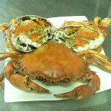 特大☆酒蒸紅蟳