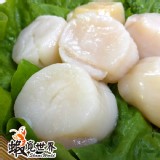 北海道生食級干貝