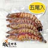 澎湖大明蝦(5尾裝)