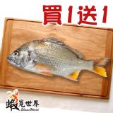 黃鰭鯛(赤翅仔)200g/尾