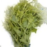 真玉龍鬚菜 有機栽培 不灑農藥 半台斤(300g)裝 特價：$40