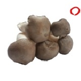 小迷你杏鮑菇 (300G)杏鮑菇最嫩的芯,一口一朵,特殊處理送到府上就像現採一樣試賣價$65