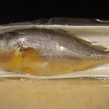 新勝發漁業船隊 黃花魚(大)400~500g