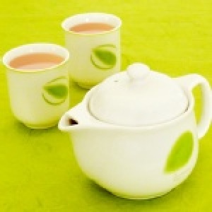國際知名品牌新骨瓷茶壺杯組（1壺2杯）