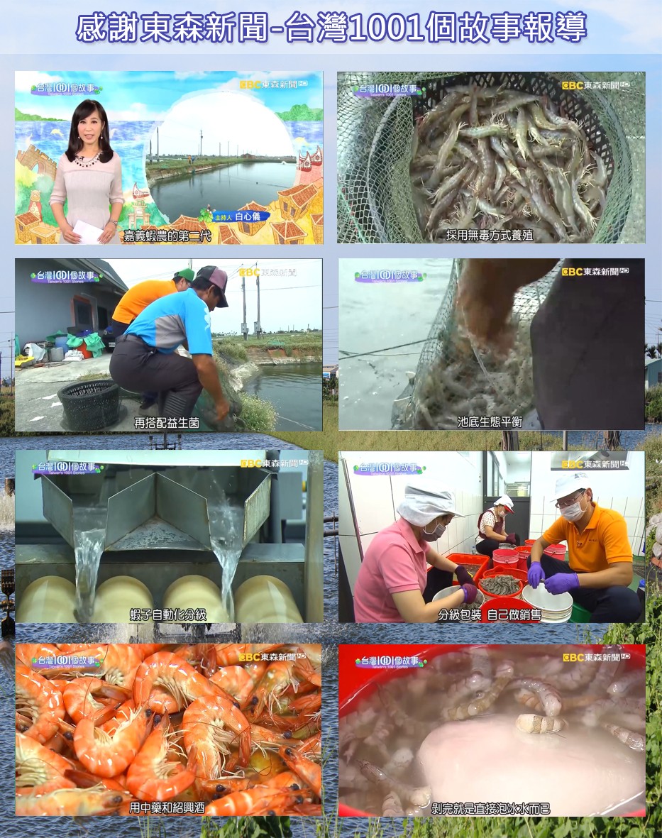 感謝東森新聞-台灣1001個故事報導，EB以森新聞，CBC東森新聞，主持人白心儀，採用無毒方式養殖，CBC東森新聞，台灣10D1個故事。池底生態平衡，再搭配益生菌，GBG東森新聞，C東森新聞，台灣10D個故，分級包装自己做銷售，CBC東森新聞，CBC