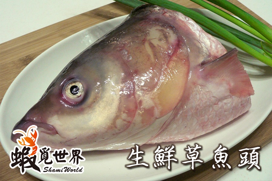 生鮮草魚頭 蝦覓世界 健康 新鮮 美味 Ihergo愛合購