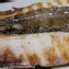 無刺生鮮虱目魚肚☆L