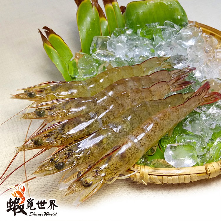 【蝦覓世界】中尾-生鮮白蝦22-25尾,300g