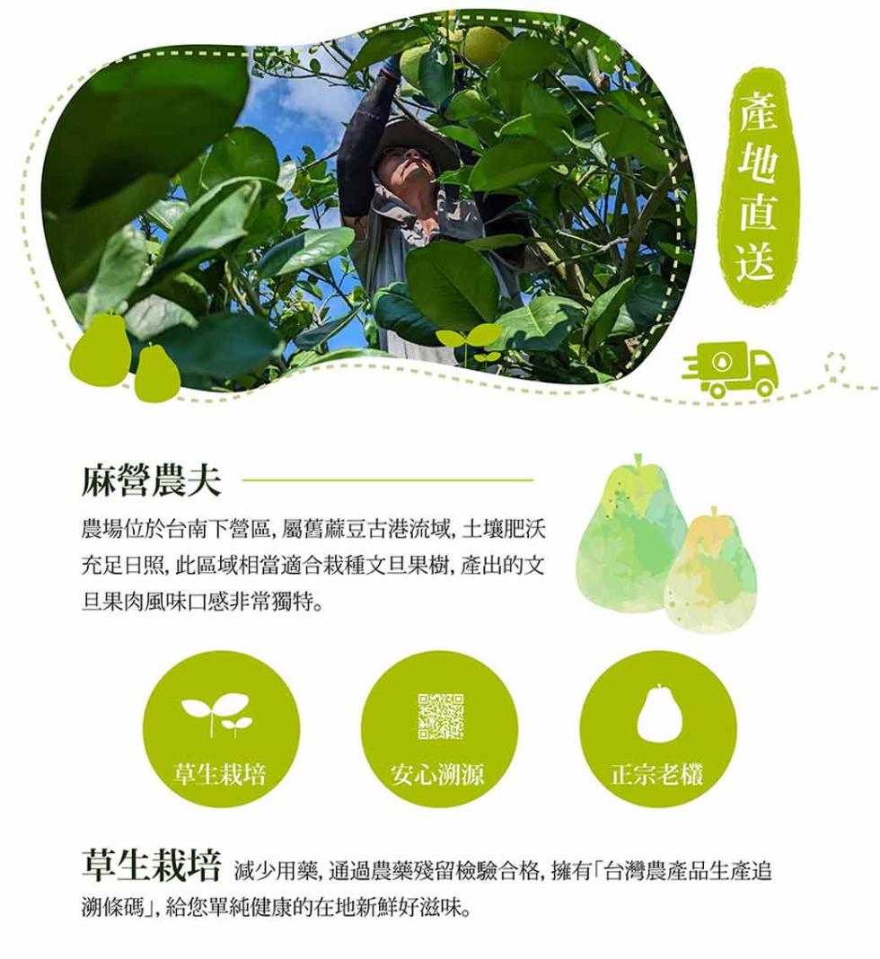 麻營農夫，農場位於台南下營區,屬舊麻豆古港流域, 土壤肥沃，充足日照, 此區域相當適合栽種文旦果樹, 產出的文，但果肉風味口感非常獨特。草生栽培，安心溯源，正宗老欉，產地直送，草生栽培 減少用藥, 通過農藥殘留檢驗合格, 擁有台灣農產品生產追，溯條碼