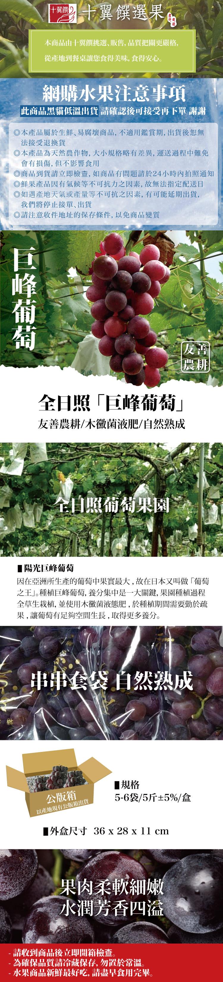 十翼饌，HD 十翼饌選果 g，本商品由十翼饌挑選,販售,品質把關更嚴格,從產地到餐桌讓您食得美味, 食得安心。網購水果注意事項，此商品黑貓低溫出貨 請確認後可接受再下單 謝謝，◎本產品屬於生鮮、易腐壞商品,不適用鑑賞期,出貨後恕無，法接受退換貨，◎本