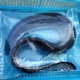 活凍鰻魚 特價：$200