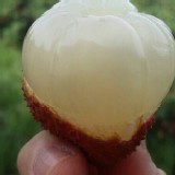 【大樹統嶺-外銷日本規格特級玉荷包】