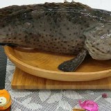 鑽石石斑魚