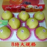 特A級 8特大(單果淨重14~15.5兩) 88節方案~免運費！第二件商品再88折~