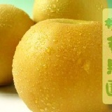 ㊣東勢【蜜梨】 嚴選特A級水梨 8大粒 7斤裝 滿4盒免運費