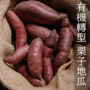 【下營薯來寶】有機轉型 栗子地瓜 3斤/箱