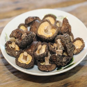 小菇菇-300g
