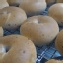 原味貝果